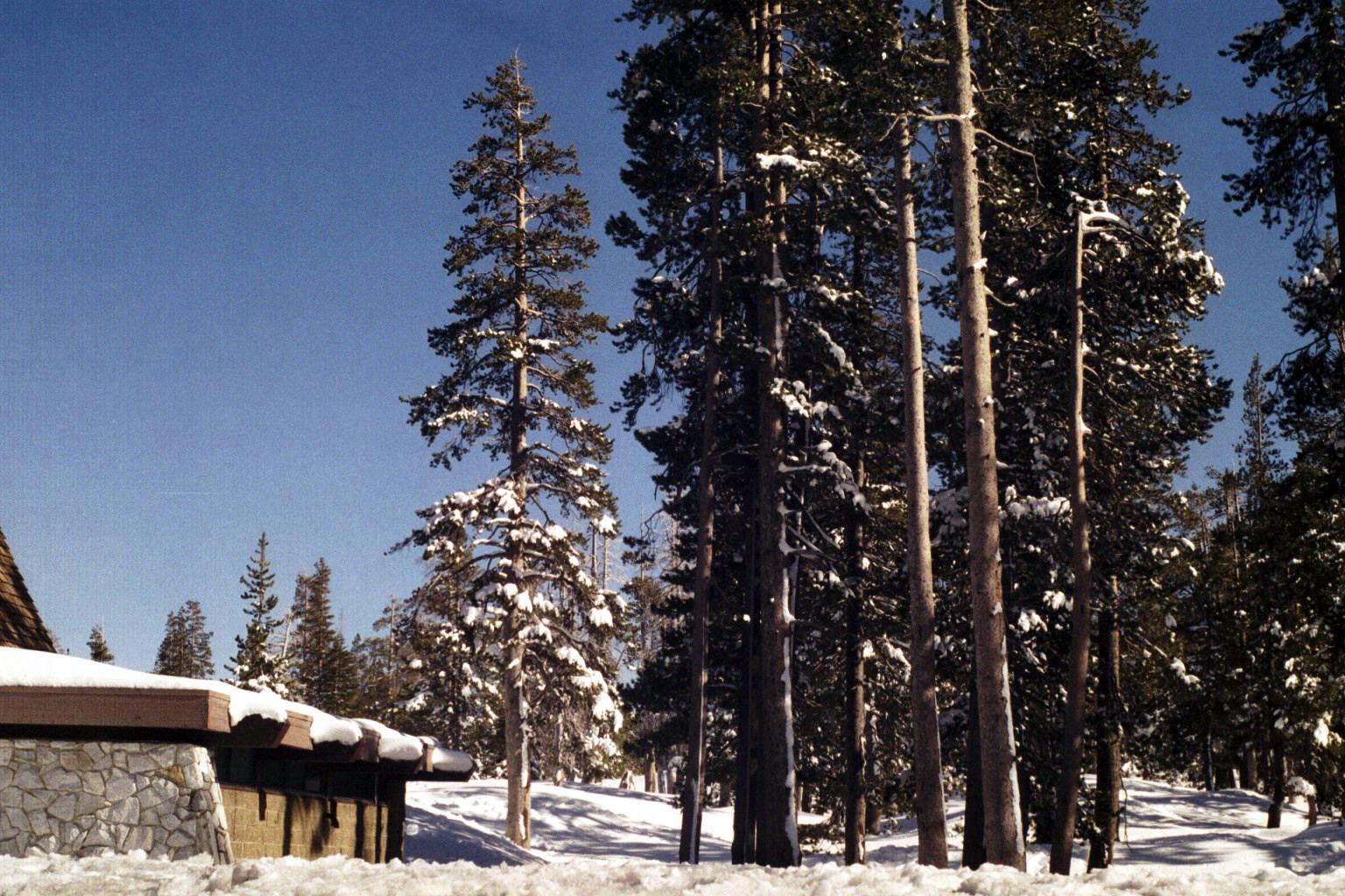 TahoeRestarea072003-1