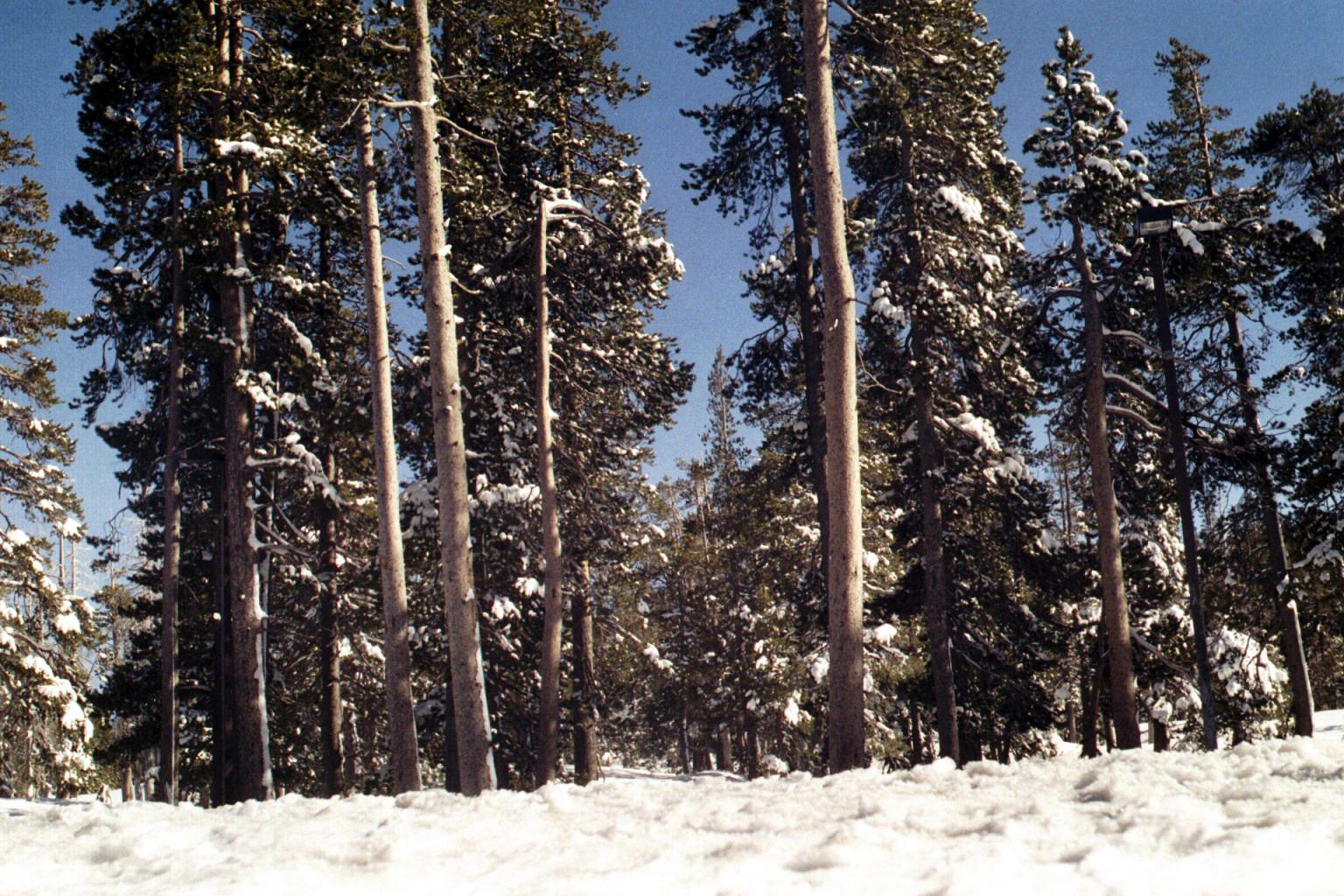 TahoeRestarea072003-2