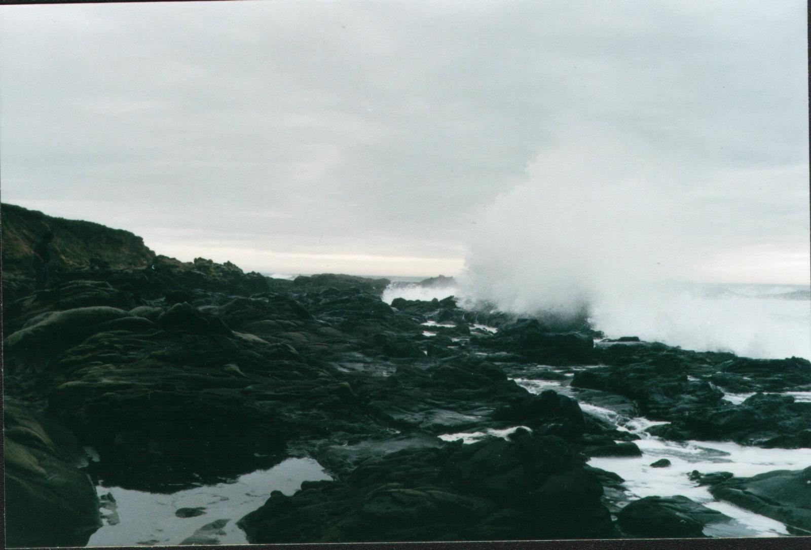 halfmonnbay02