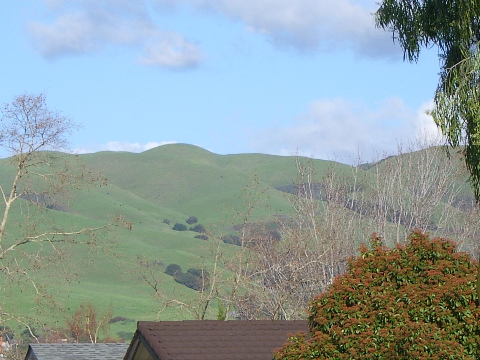 2005 3 1 Mountain