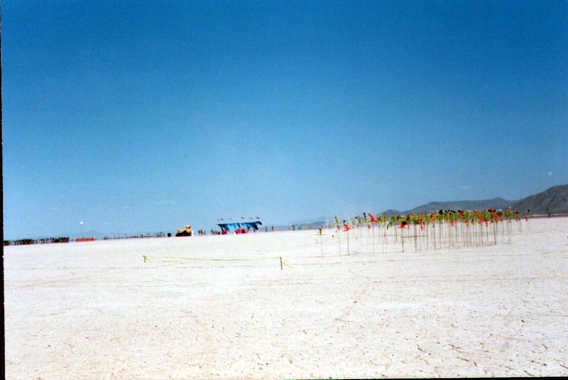 burningmanwideview