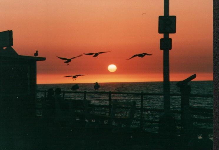 santaMonica02