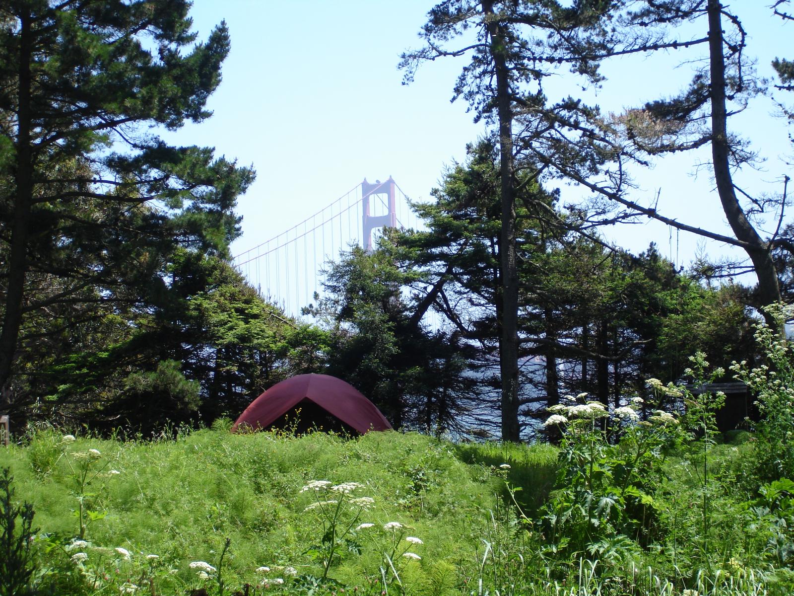DSC00959