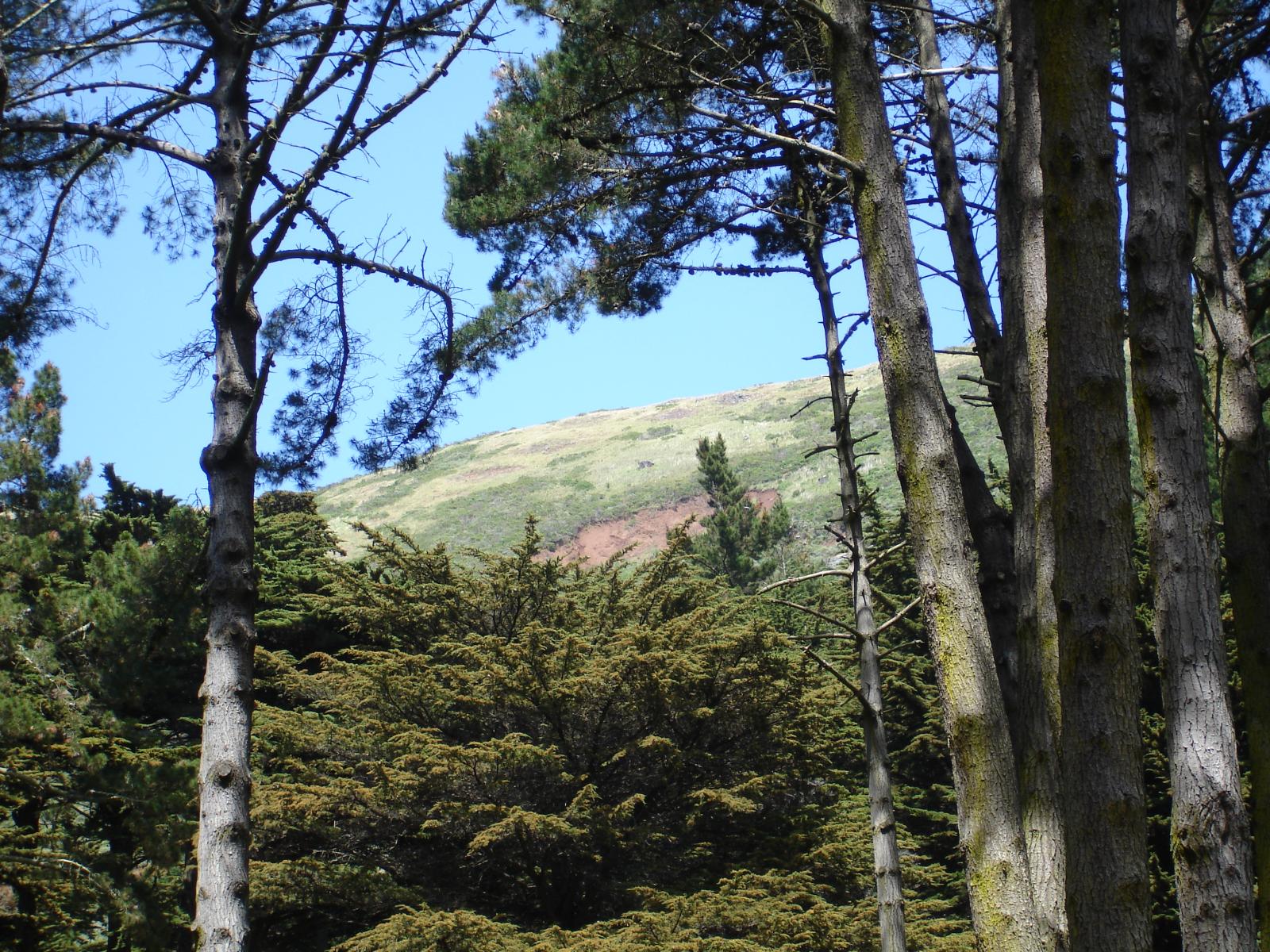DSC00985