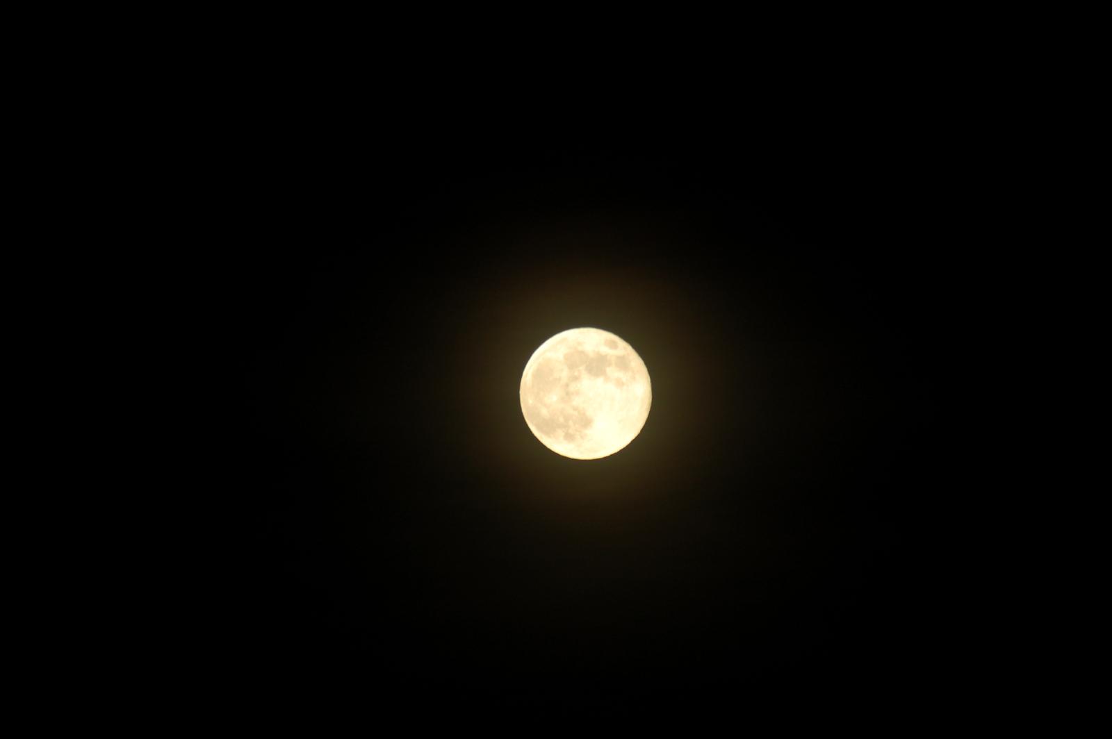 DSC 0127