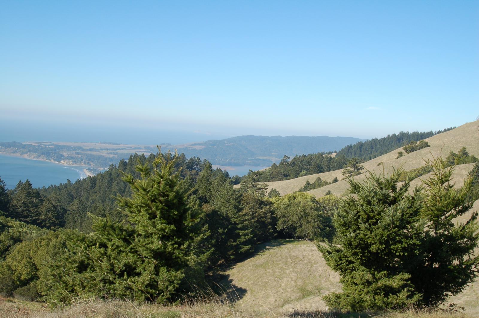 DSC 0017