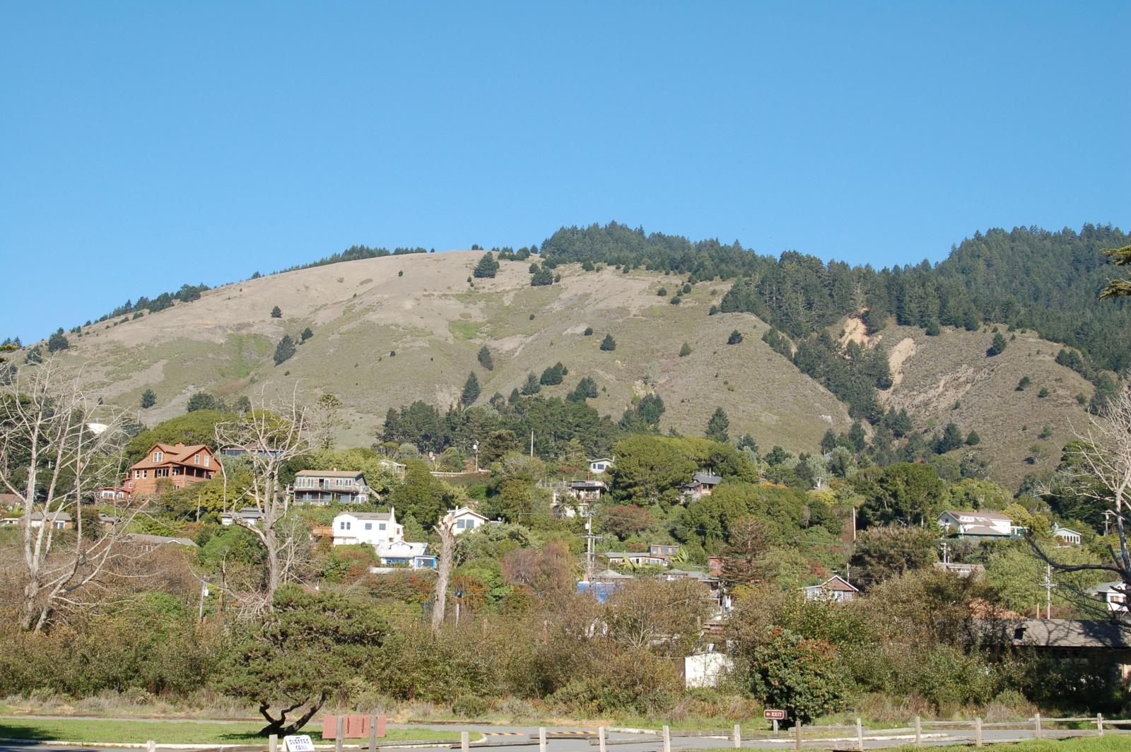 DSC 0037