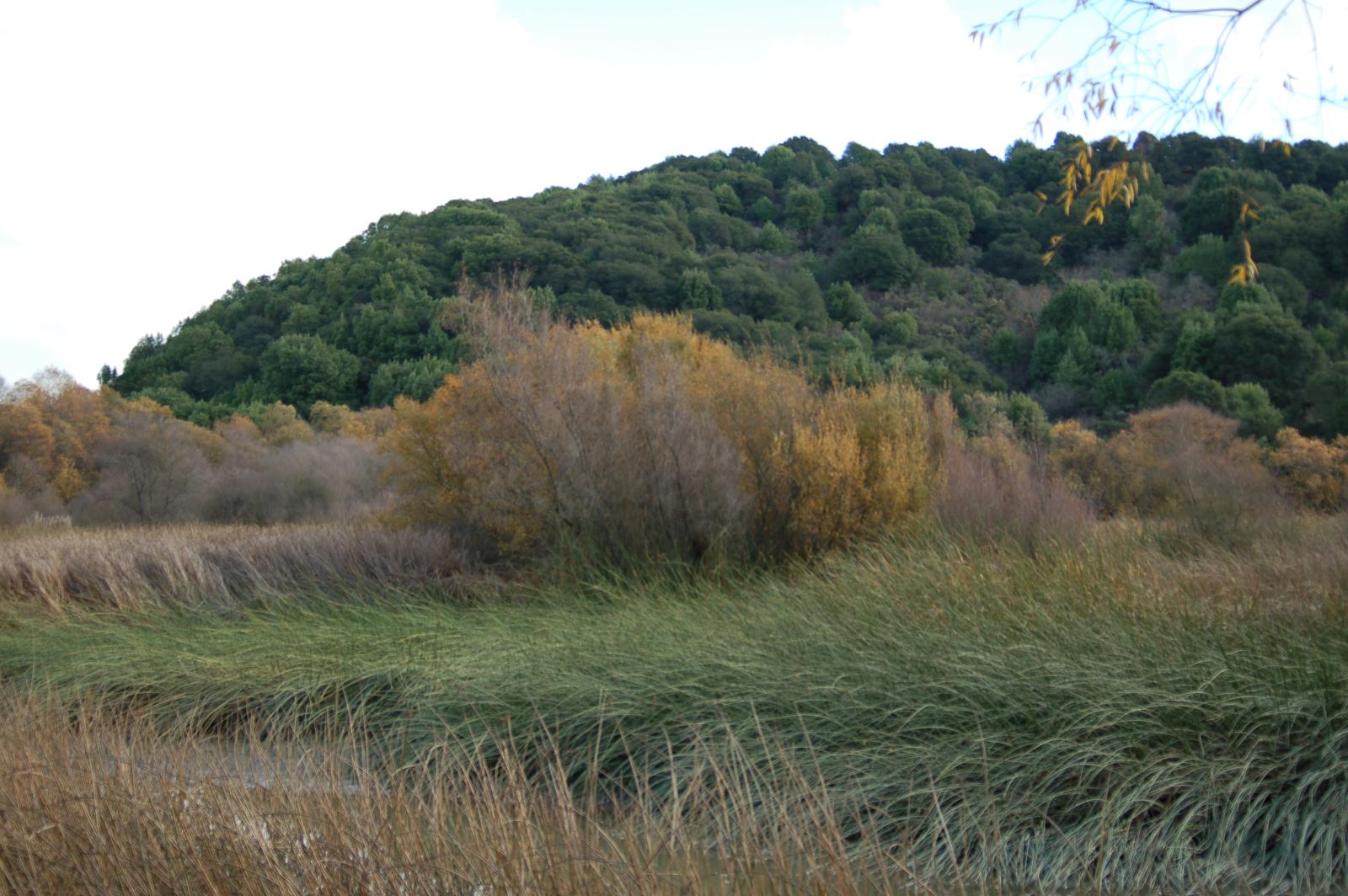 DSC 0095