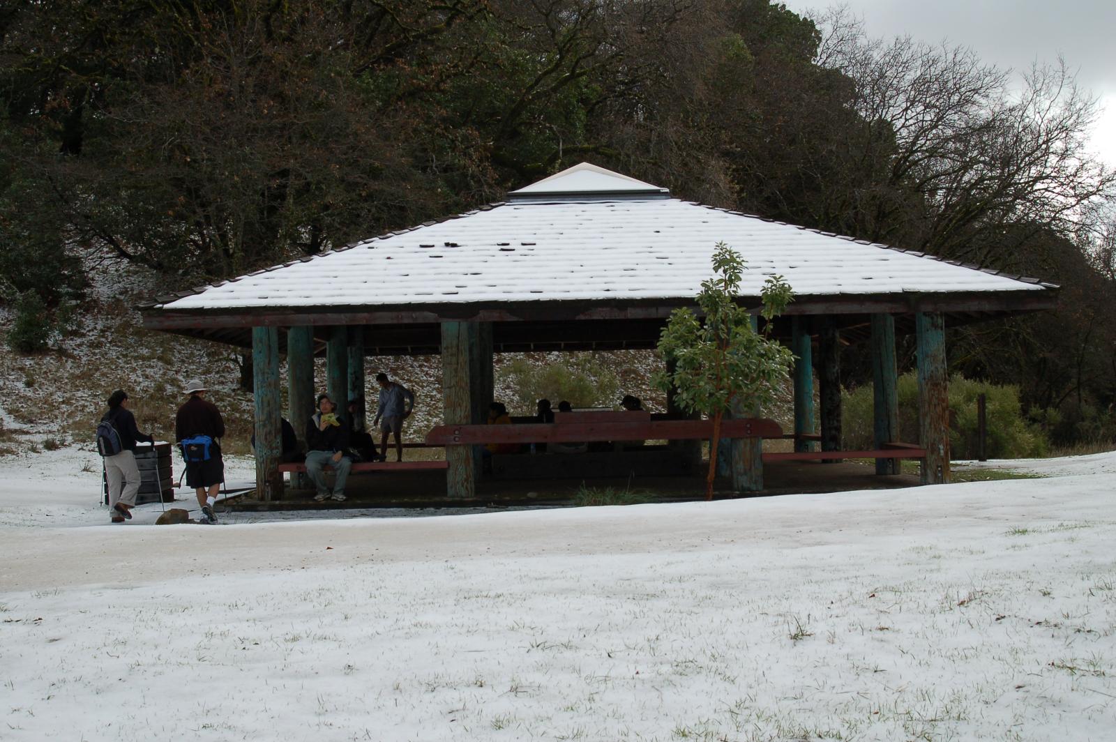 DSC 0193