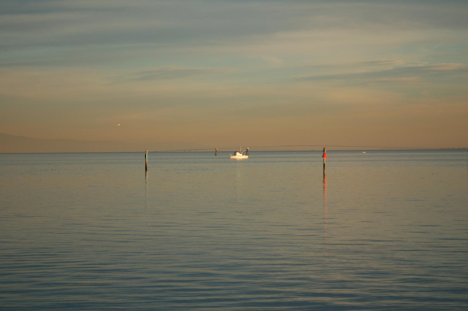 DSC 0527