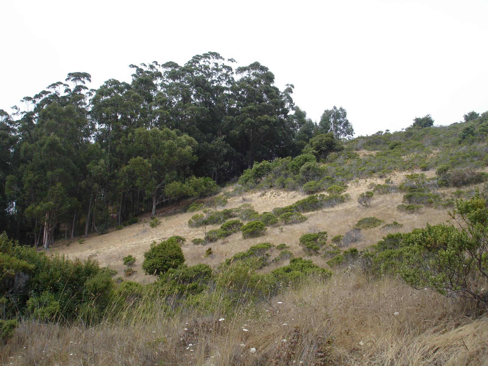 DSC03222