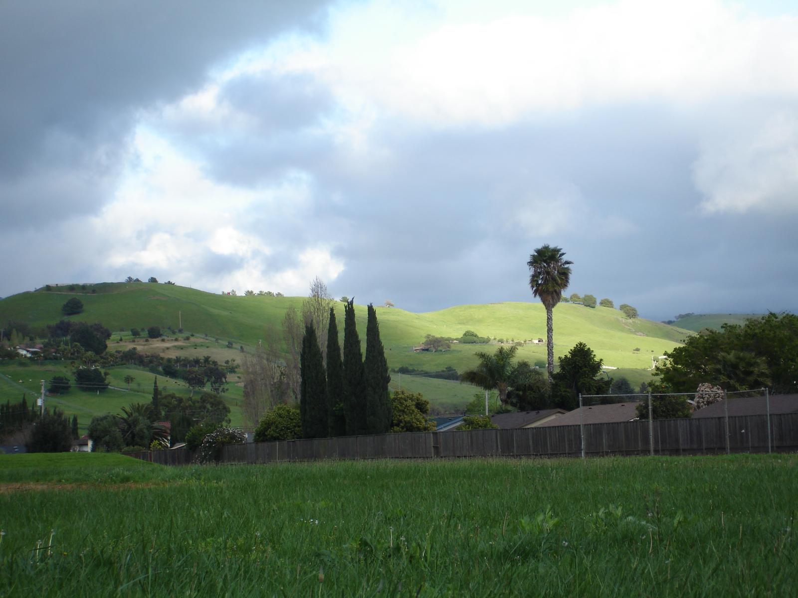 DSC00797