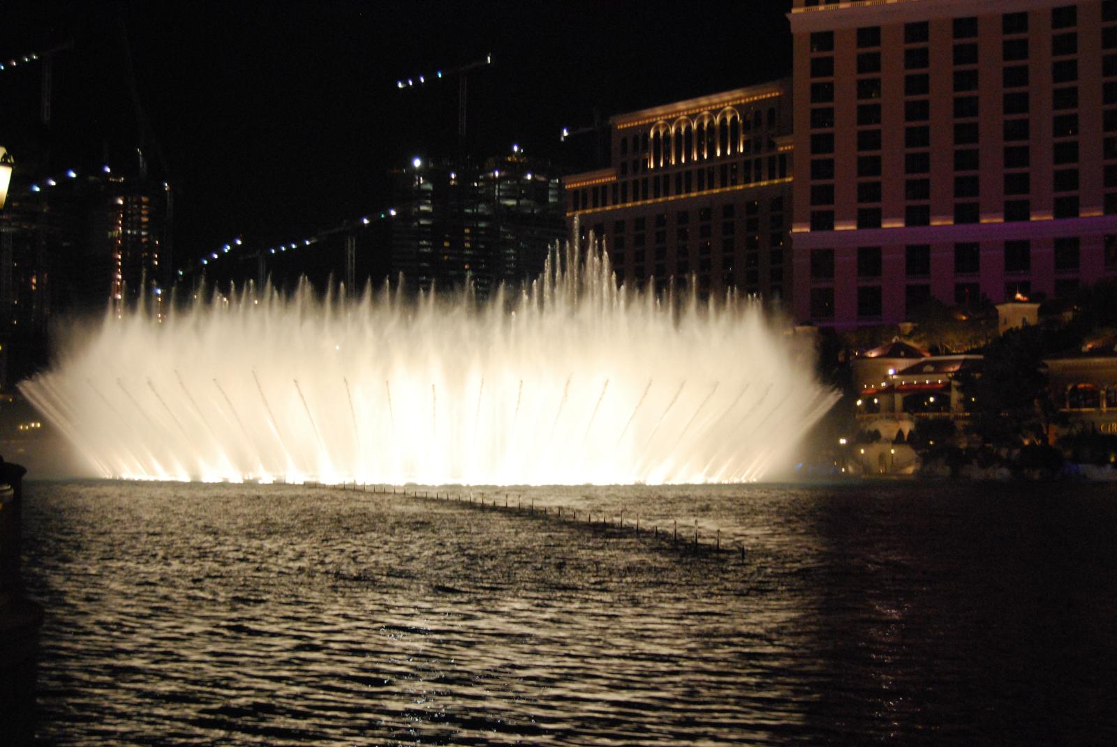 DSC 0204