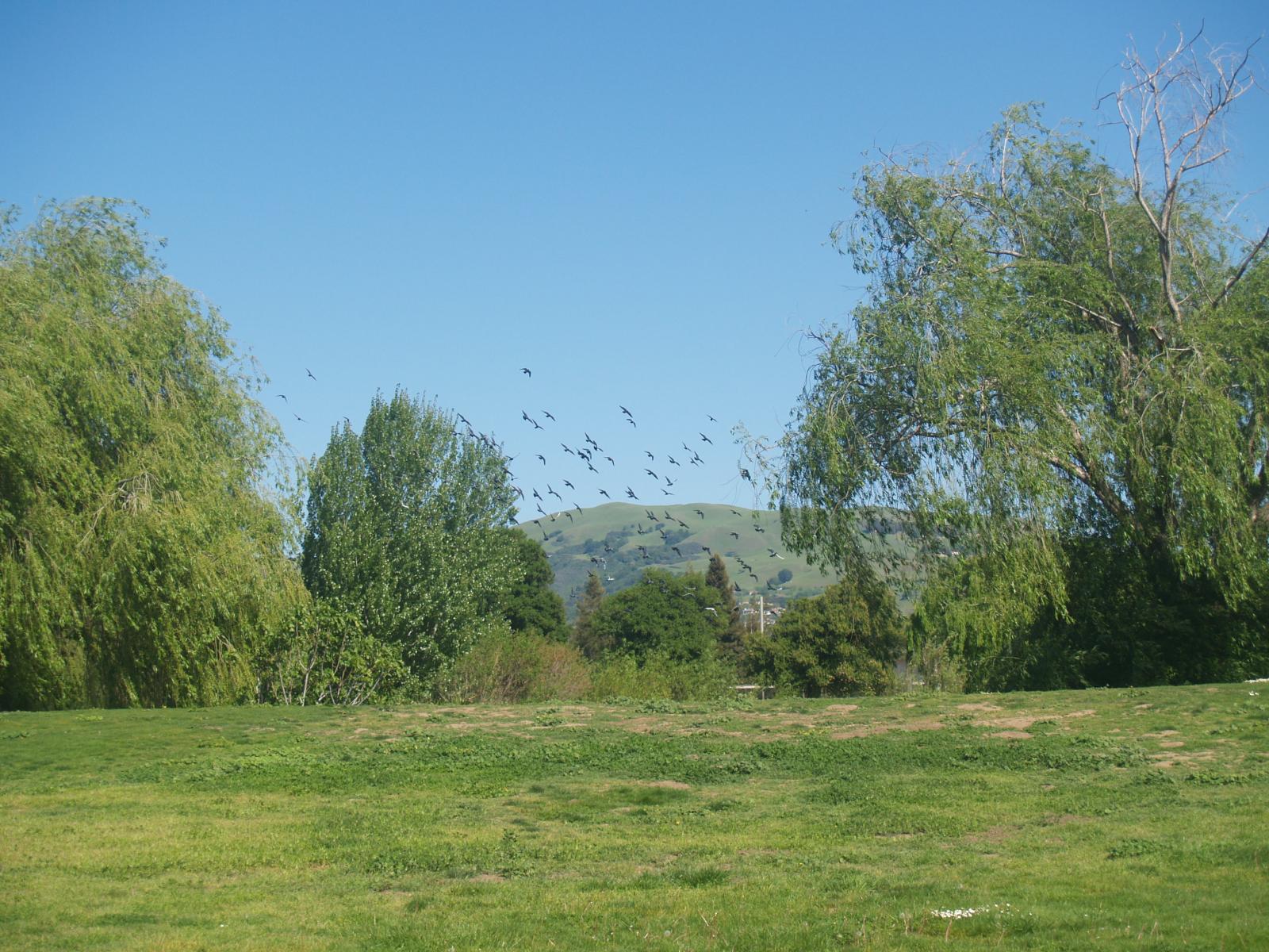 P4050063