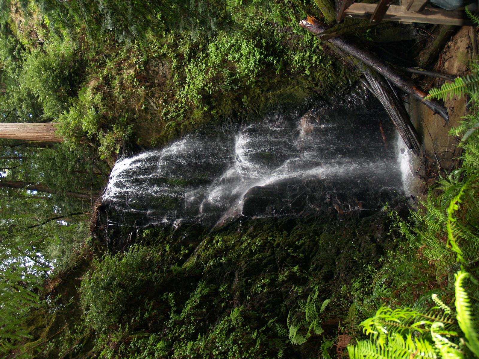 P4140636