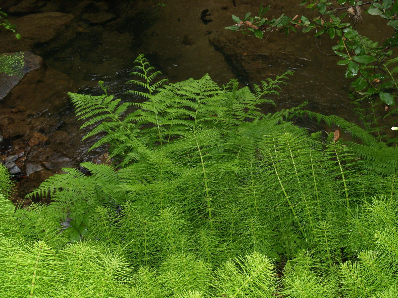 P4140710