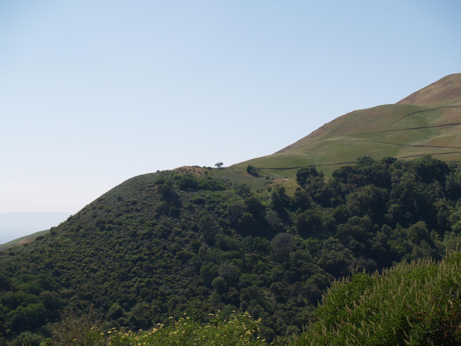 P4291340