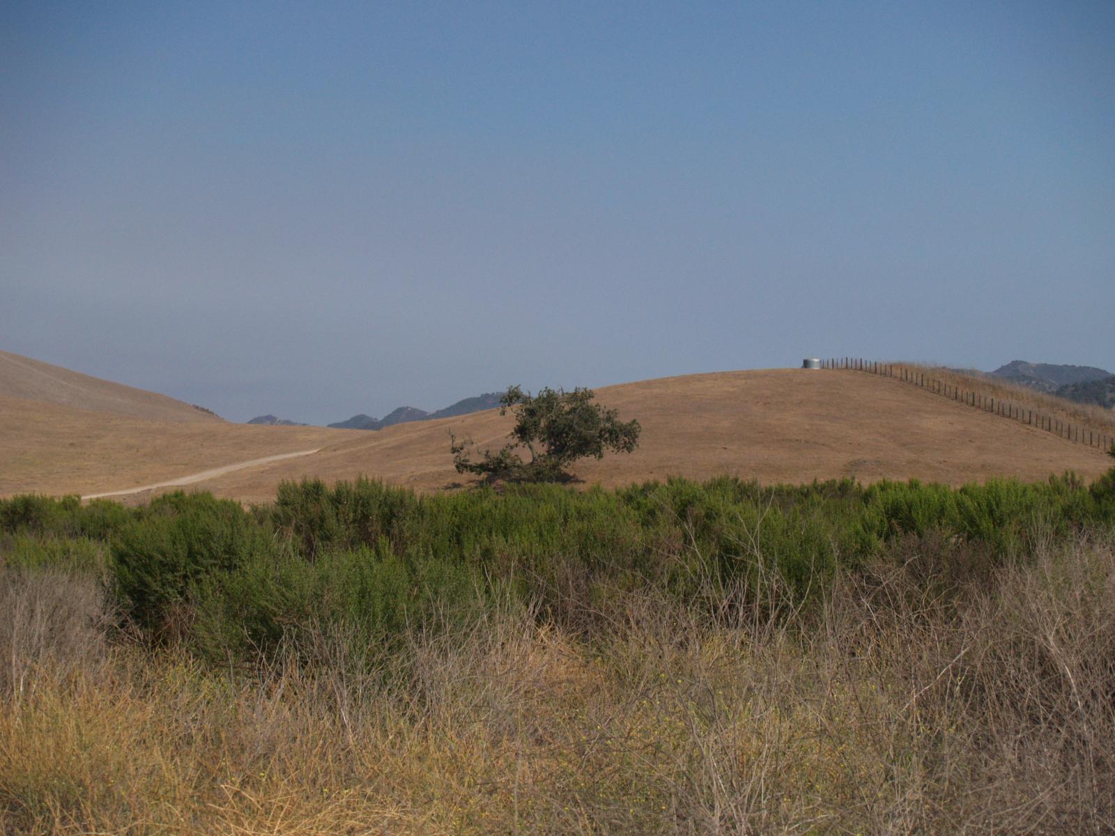 P7161766
