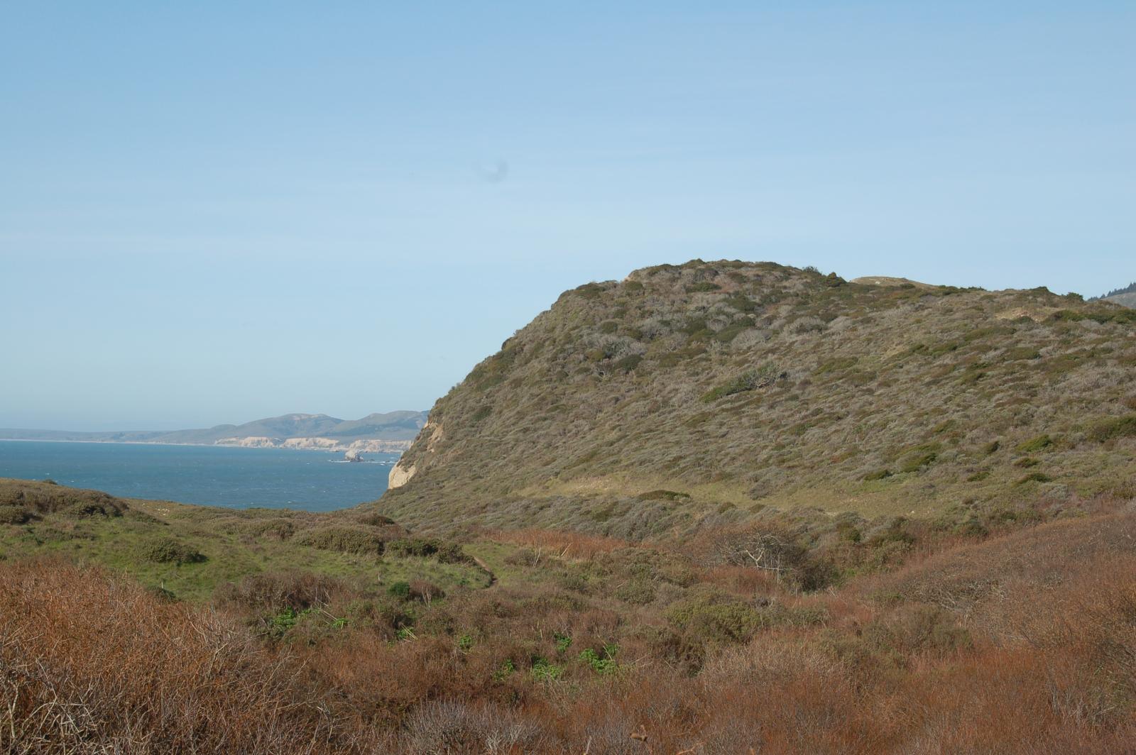 DSC 1072