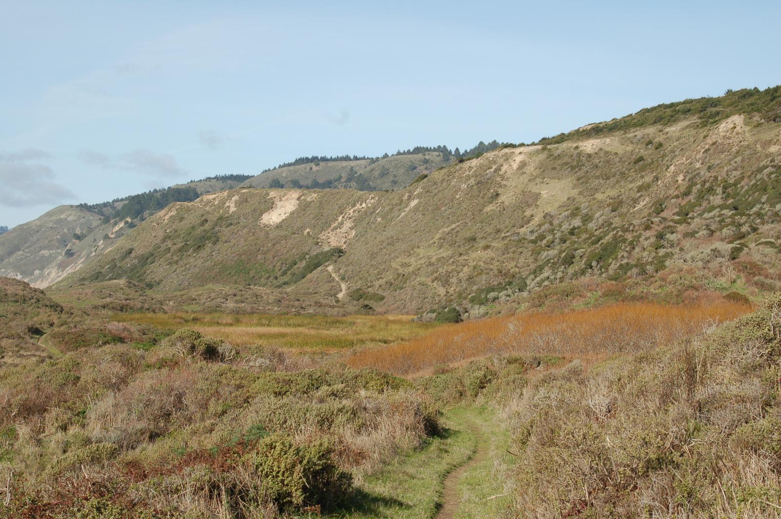 DSC 1086