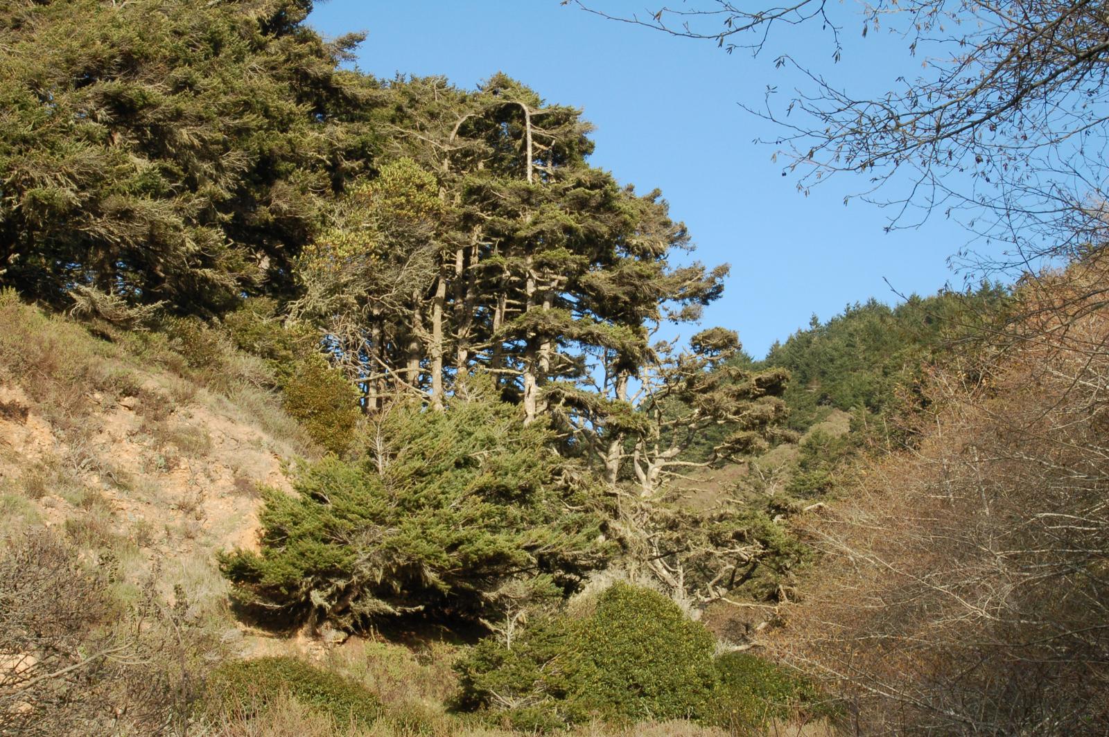 DSC 1202