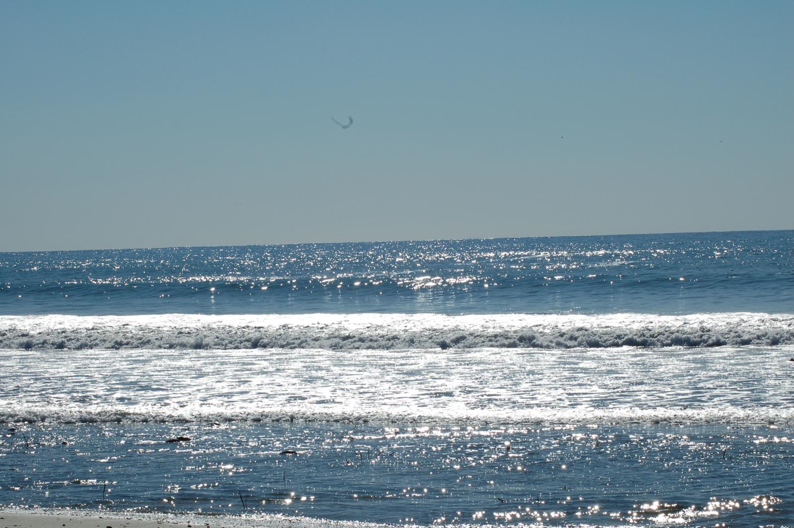 DSC 1342