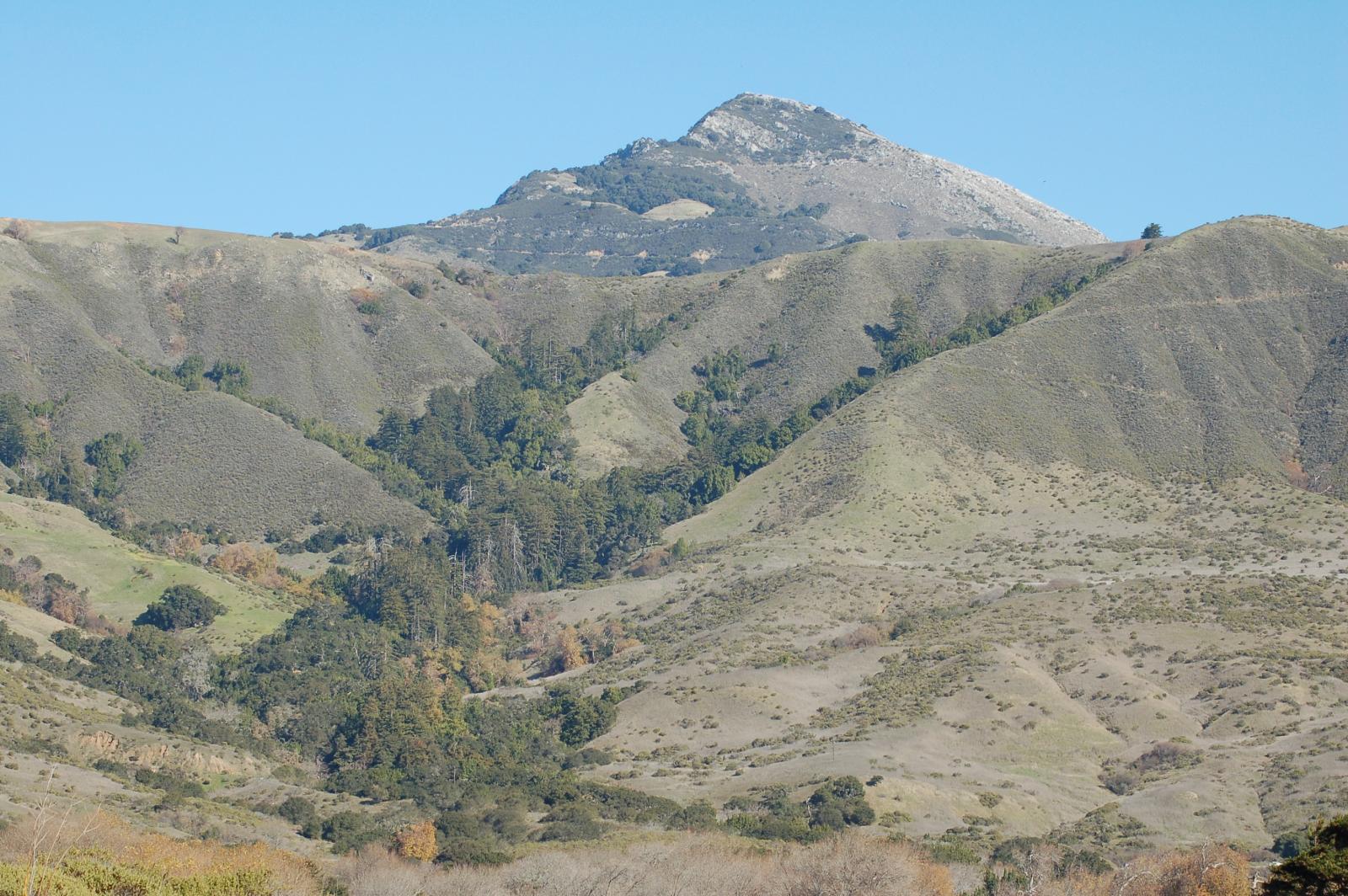 DSC 1351