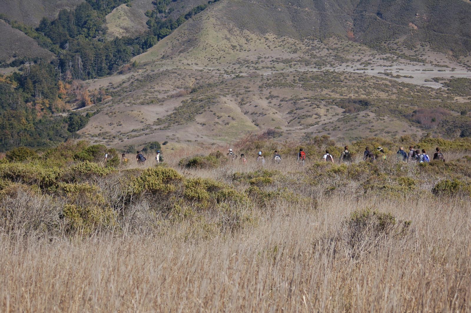 DSC 1361
