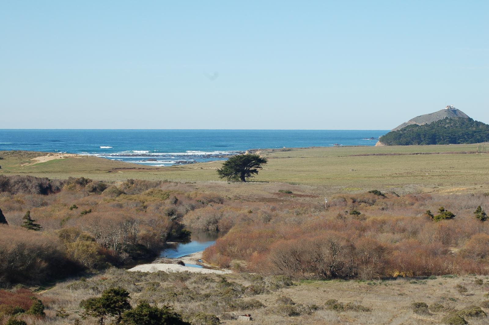 DSC 1390