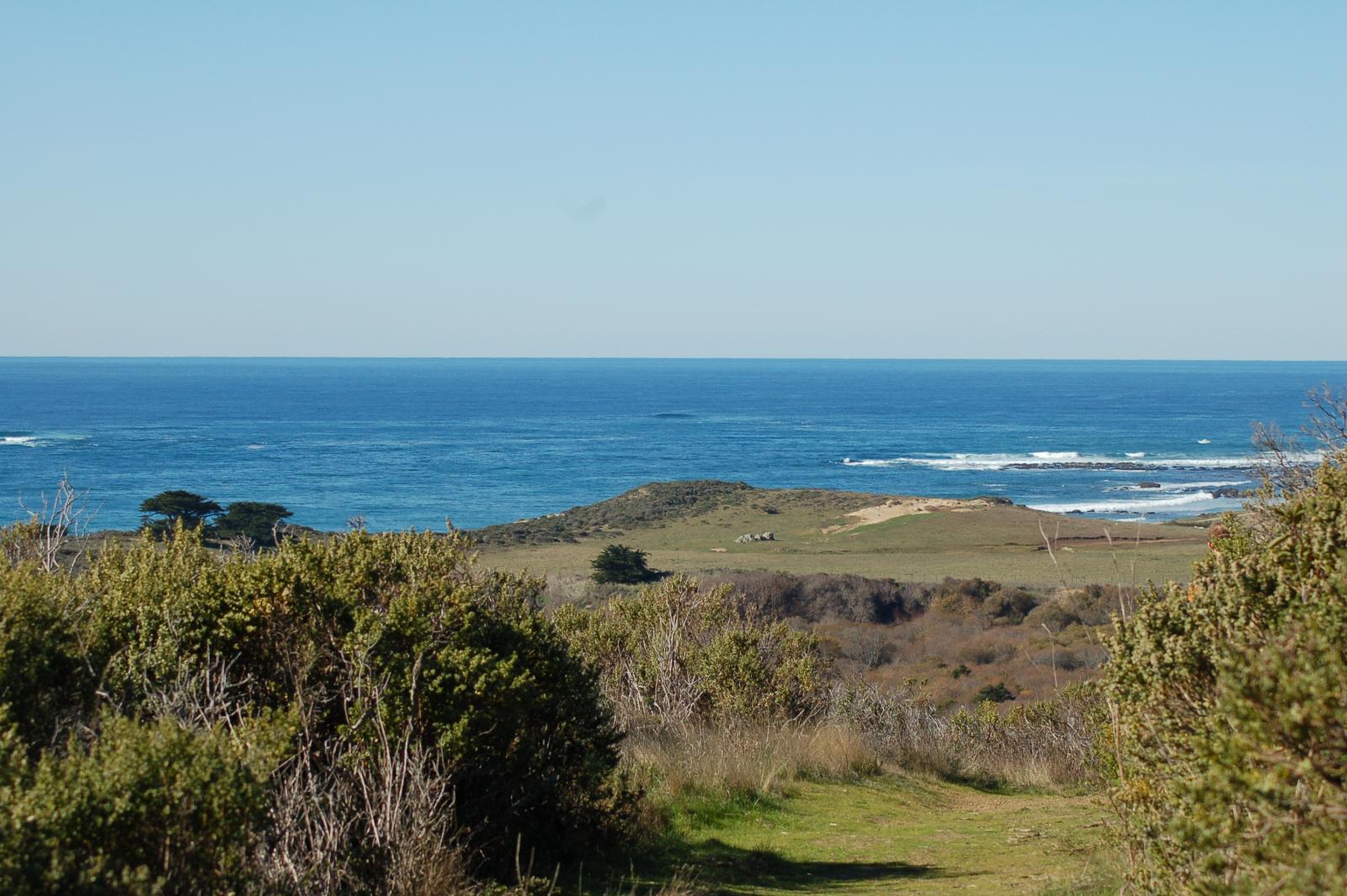 DSC 1403