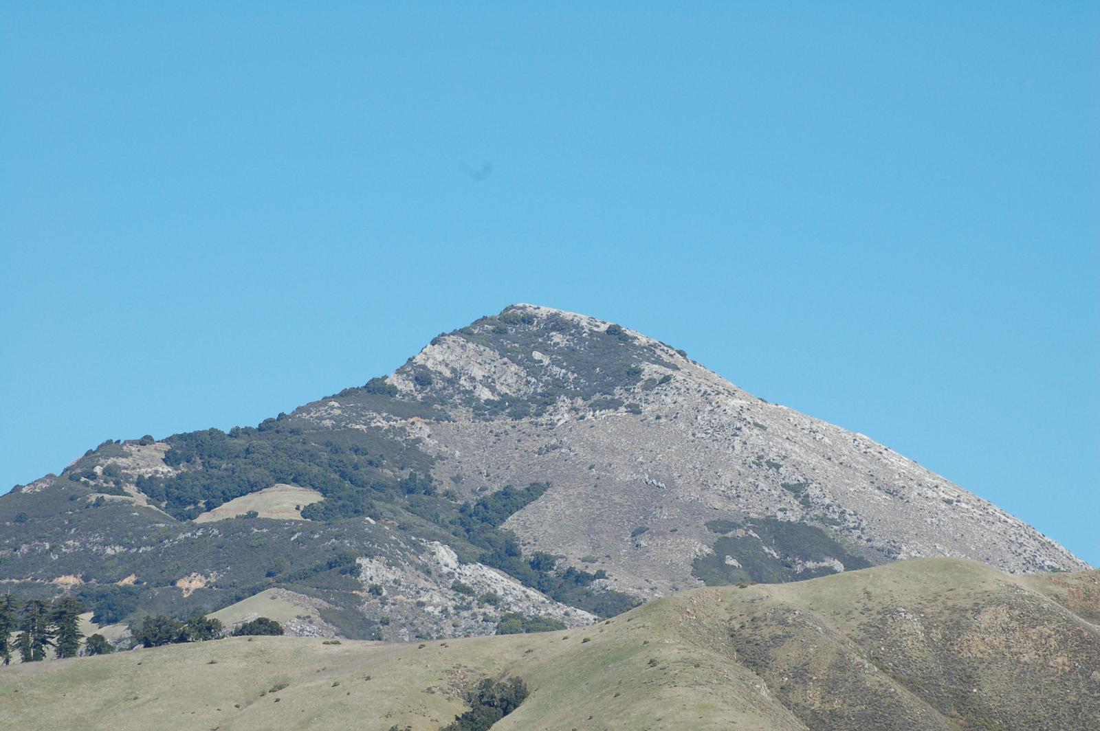 DSC 1434