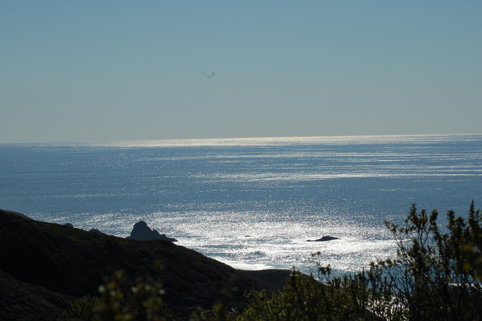 DSC 1439