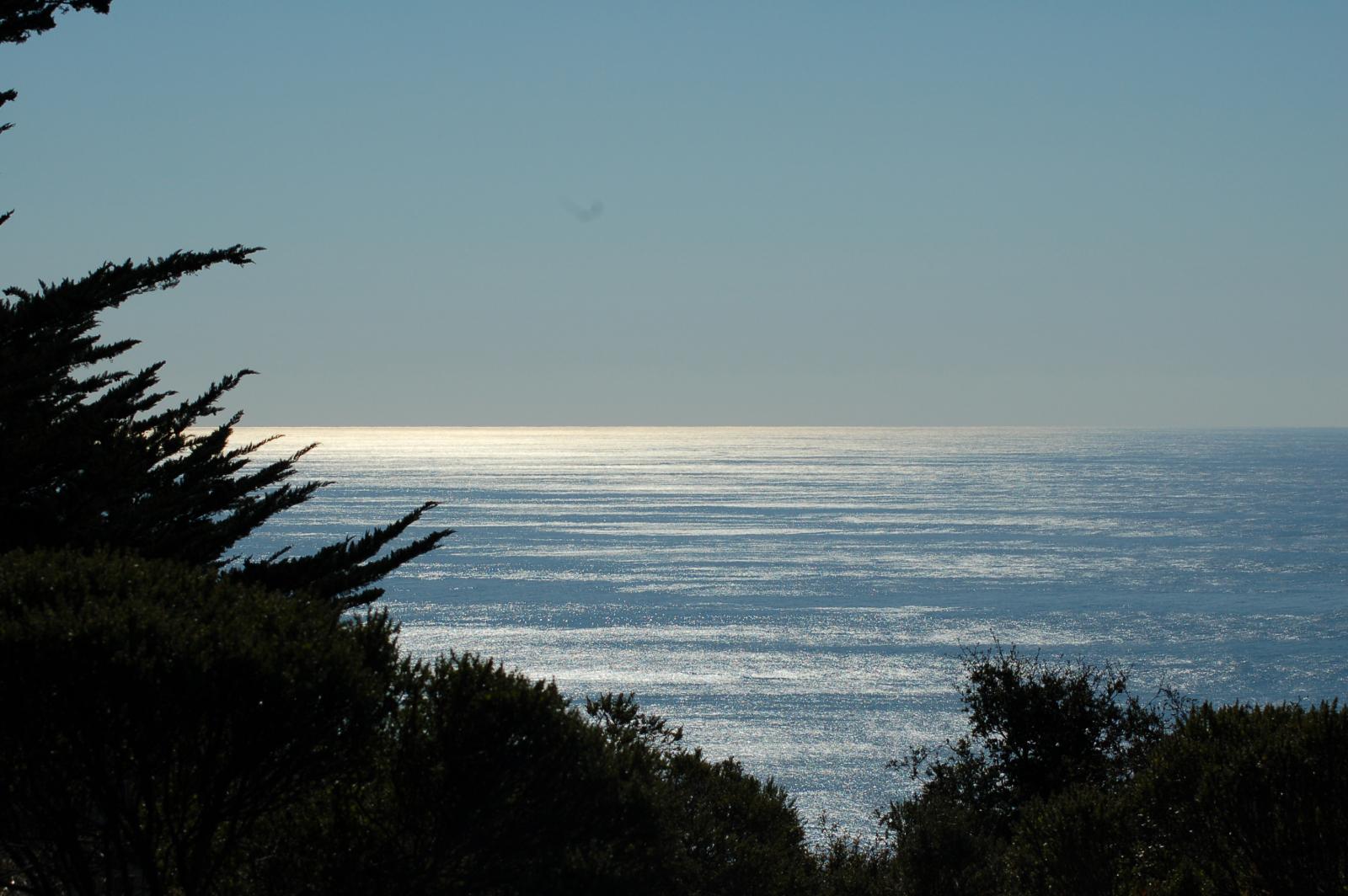 DSC 1484