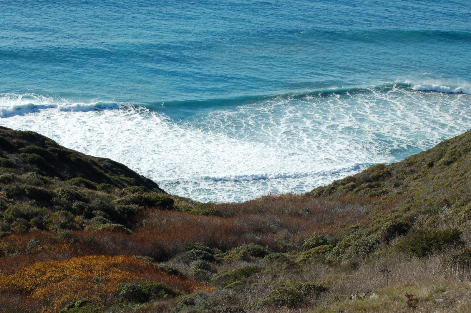 DSC 1535