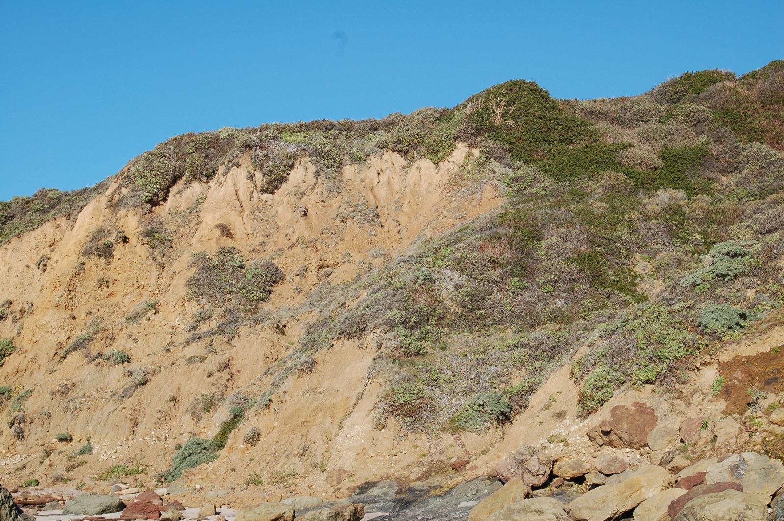 DSC 1562