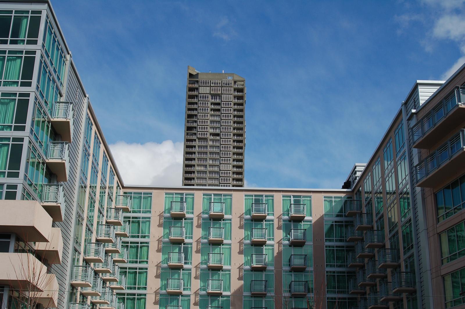 DSC 2547