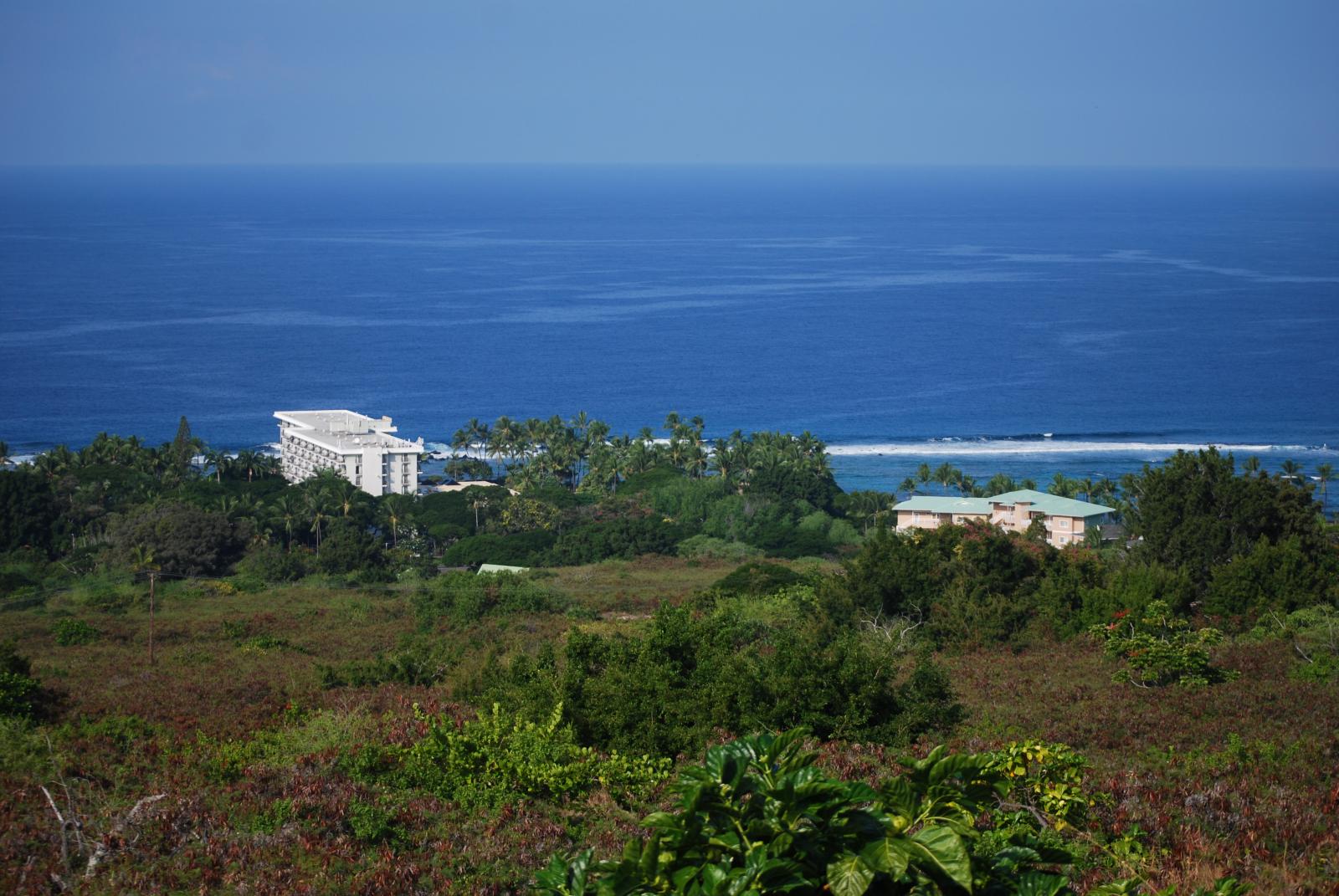DSC 0194