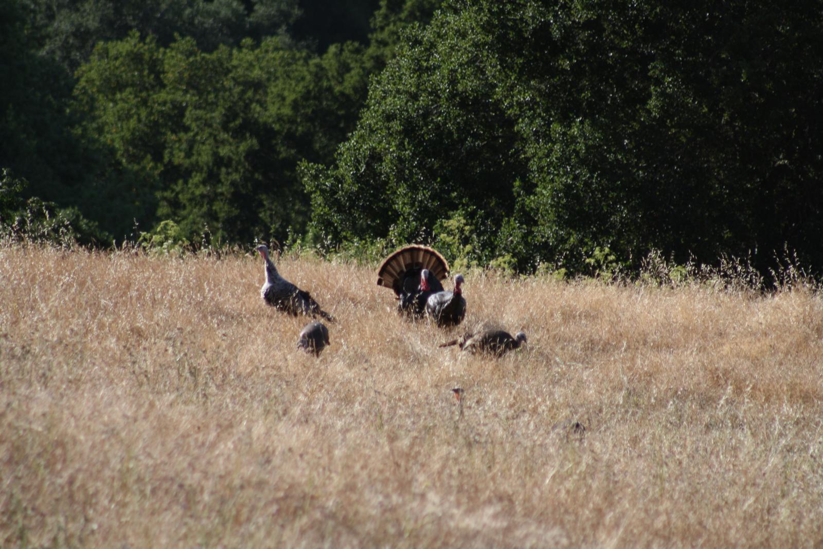 IMG 3215