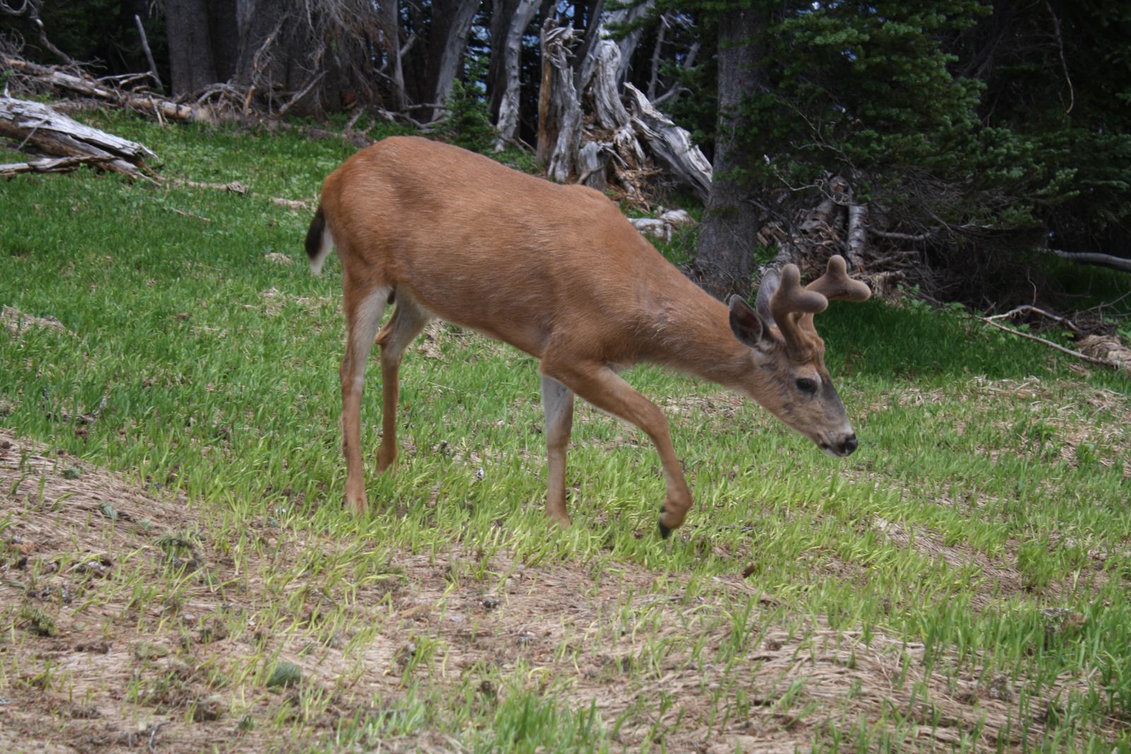 IMG 7221