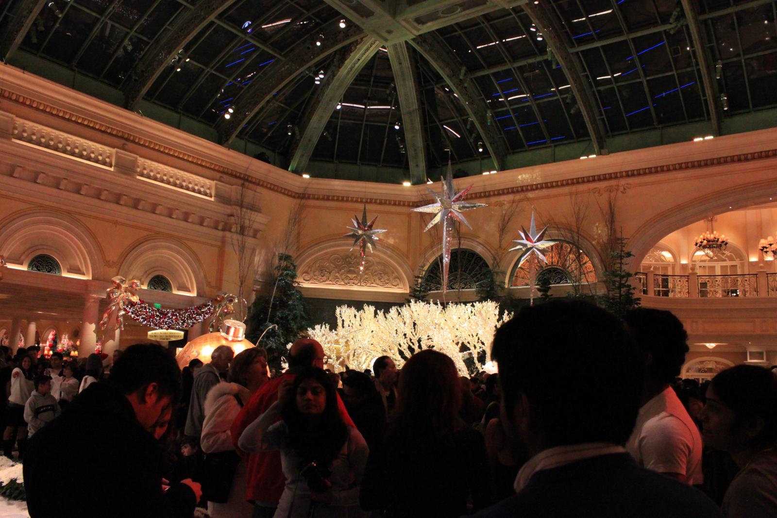 IMG 0283