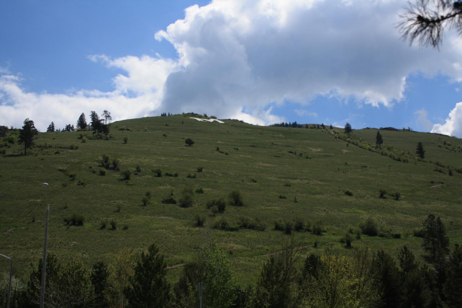IMG 0641