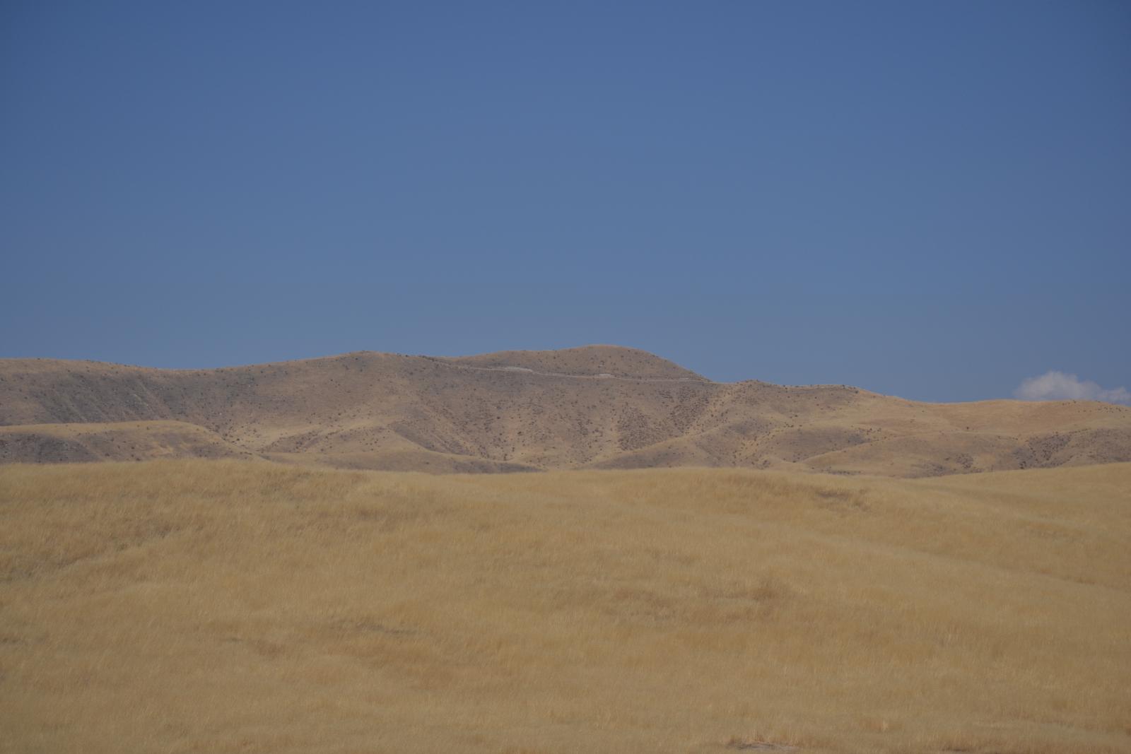 DSC 0031