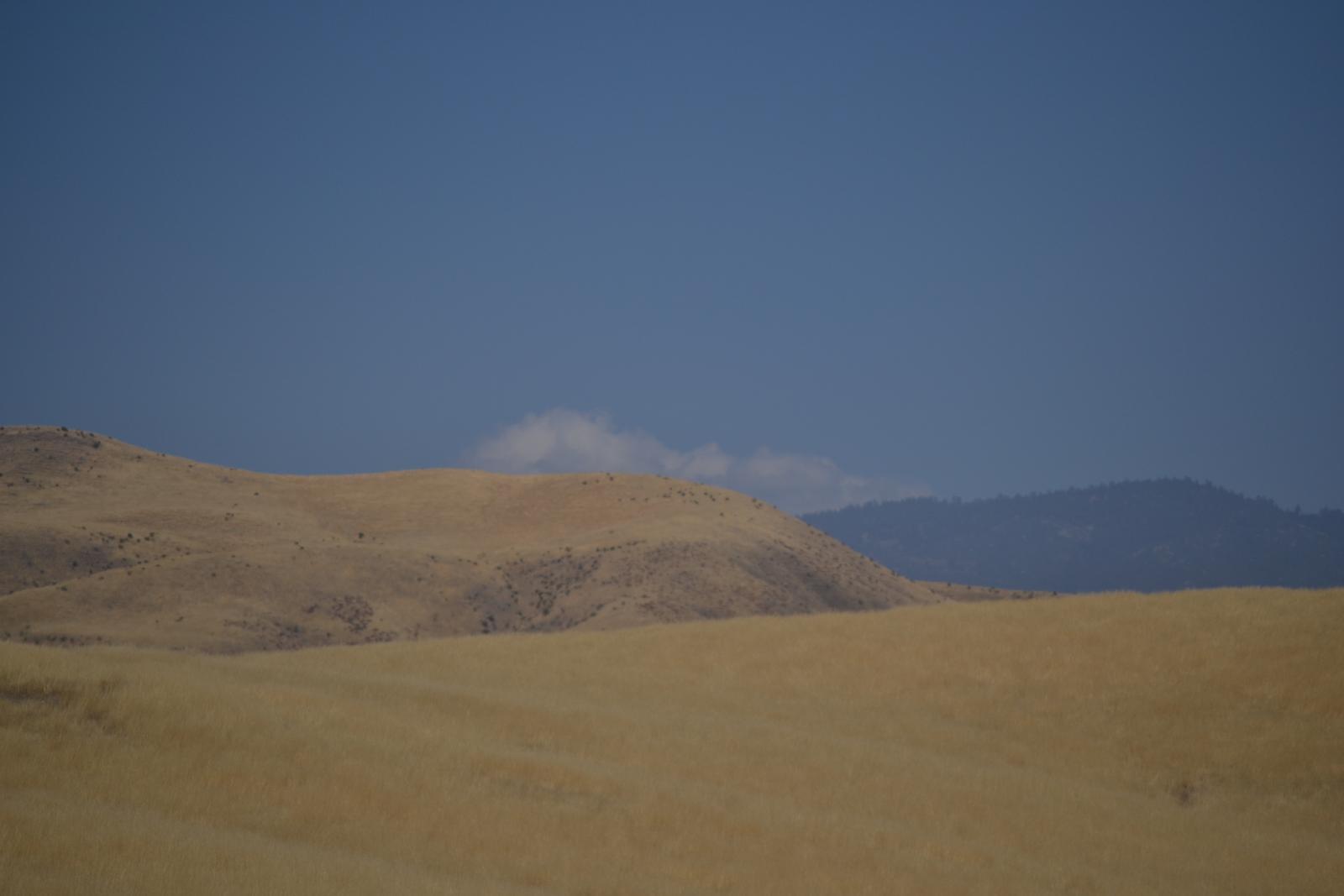 DSC 0037