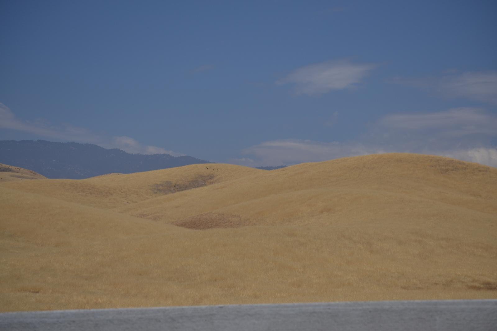 DSC 0047