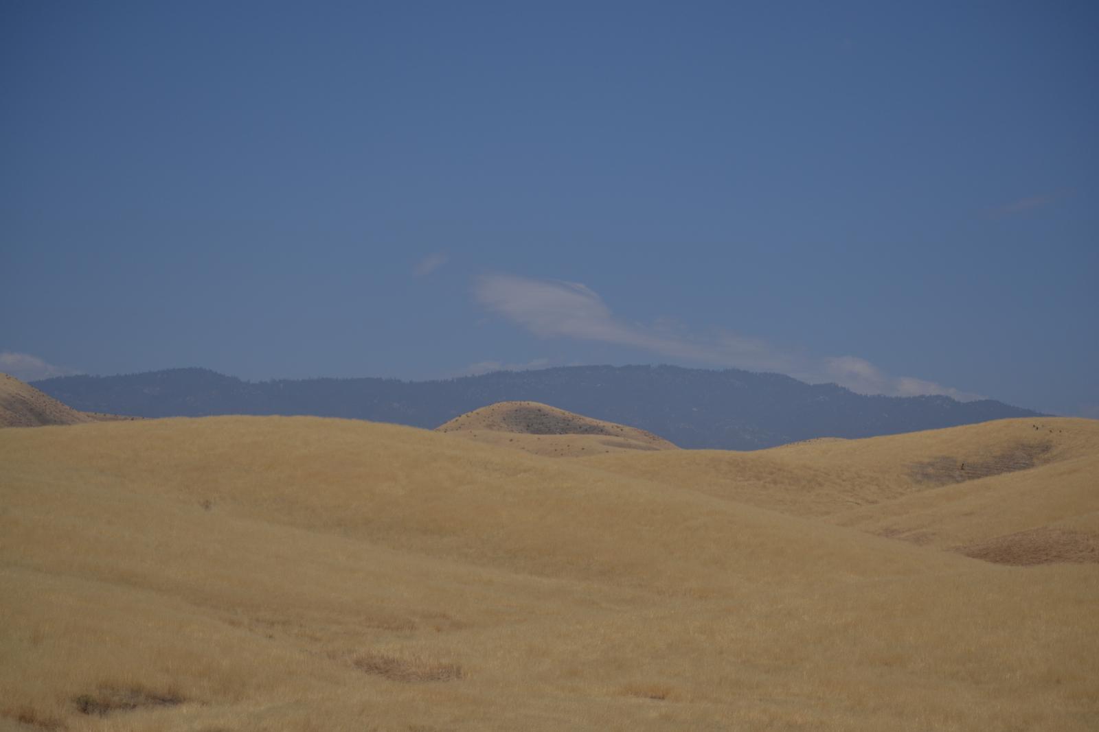 DSC 0048