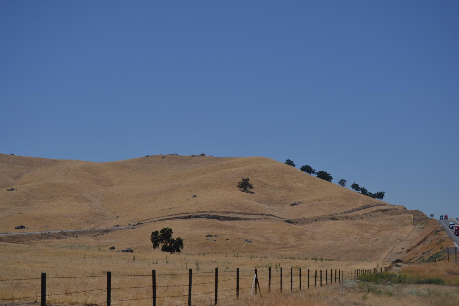 DSC 0145