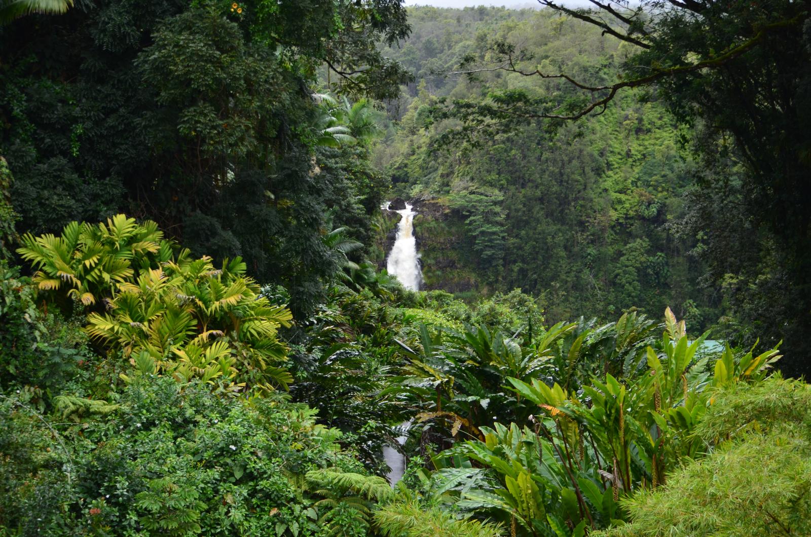DSC 0472