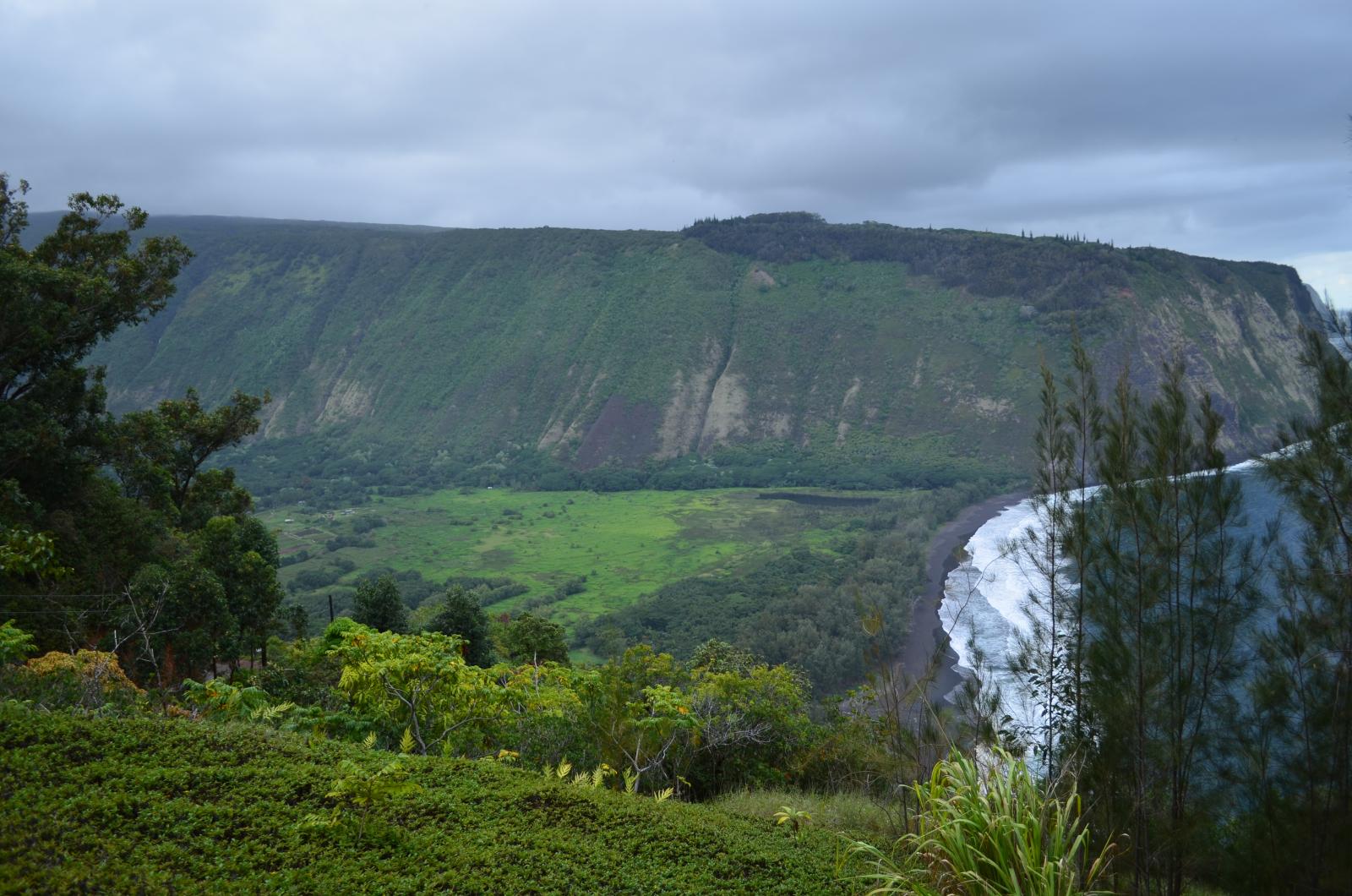 DSC 0511