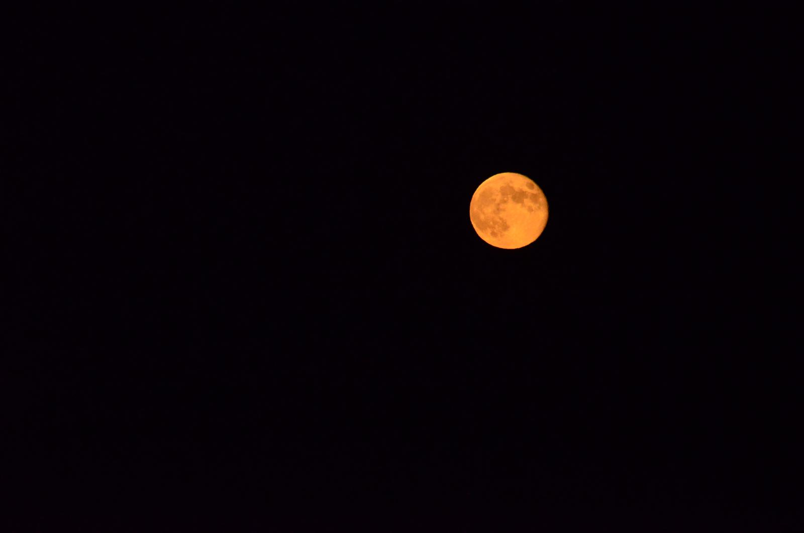 DSC 0119