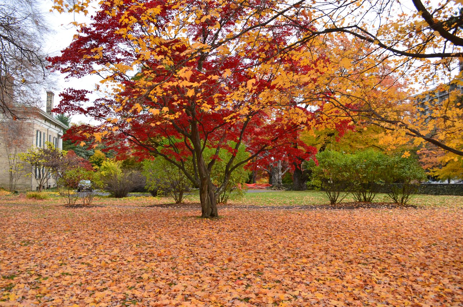 DSC 0048